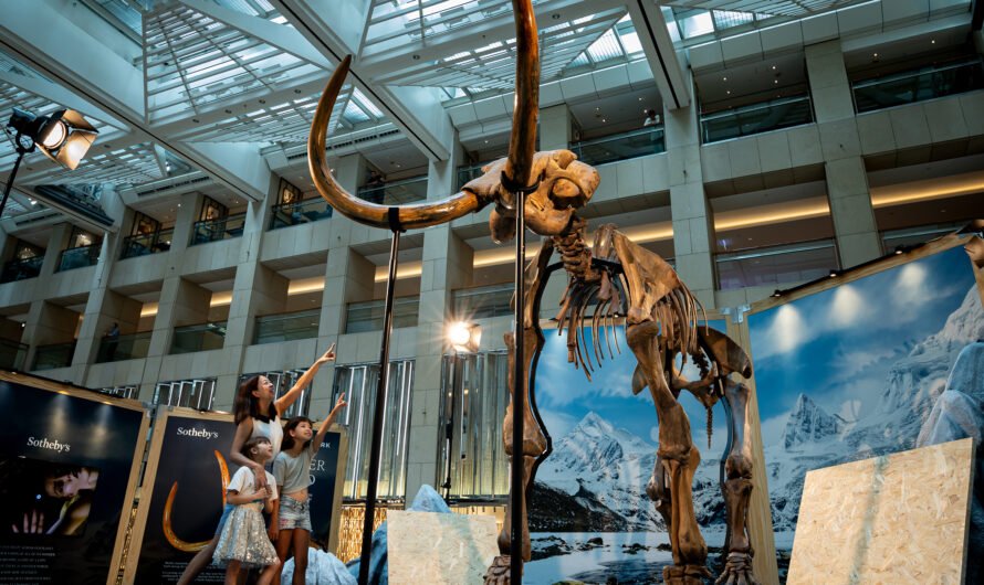 In Celebration of Sotheby’s Maison Opening Sotheby’s and LANDMARK Unveil the Largest Woolly Mammoth Public Showcase in Hong Kong