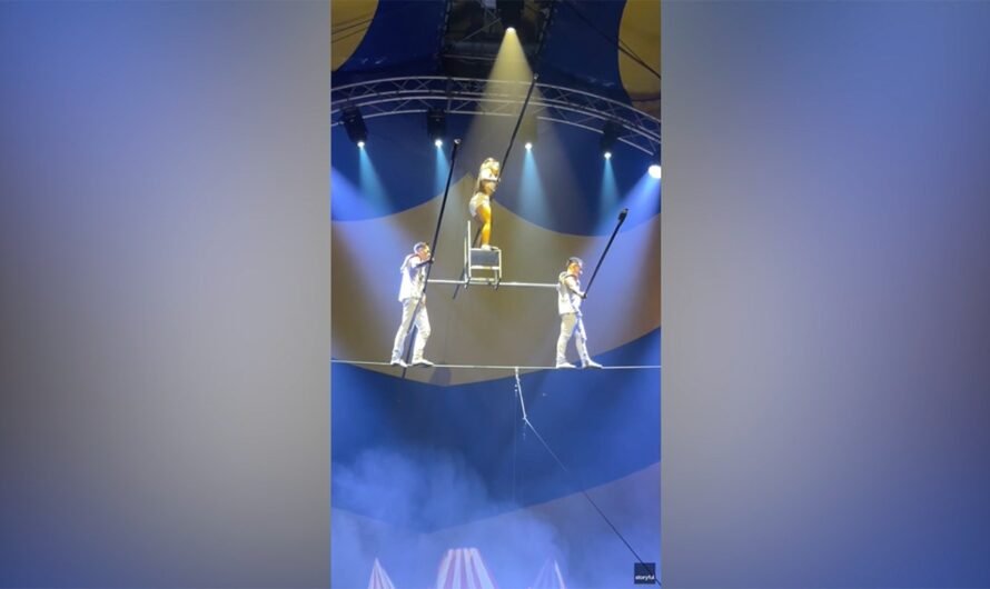 Circus performer falls while performing tightrope stunt in England