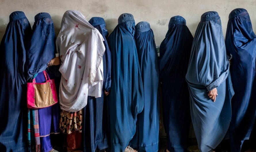 Taliban rebukes UN concerns over laws banning women’s faces, voices in public