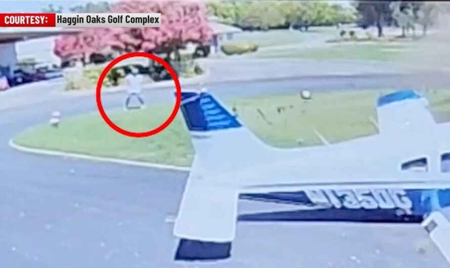 Pilot survives crash landing at California golf course with barely a scratch