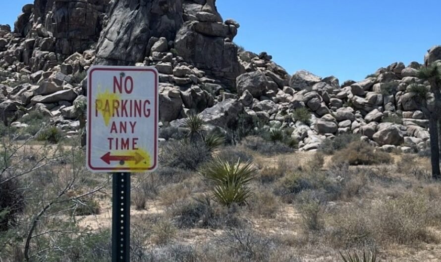 German tourists shoot paintballs at signs at Joshua National Park