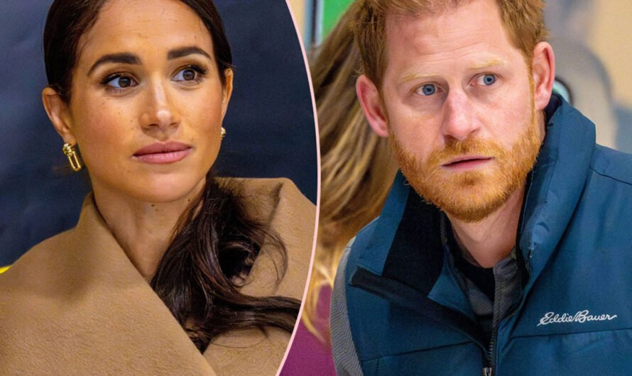 Prince Harry & Meghan Markle’s New Chief Of Staff Quits After Just THREE MONTHS! How Many Does That Make?