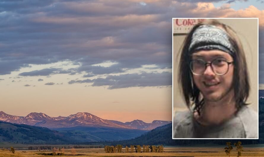 Yellowstone worker goes missing while on solo hike