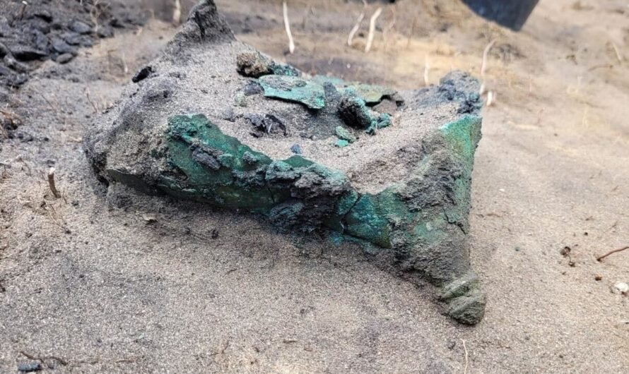 Hundreds of artifacts, including bronze Celtic helmet unearthed in Poland