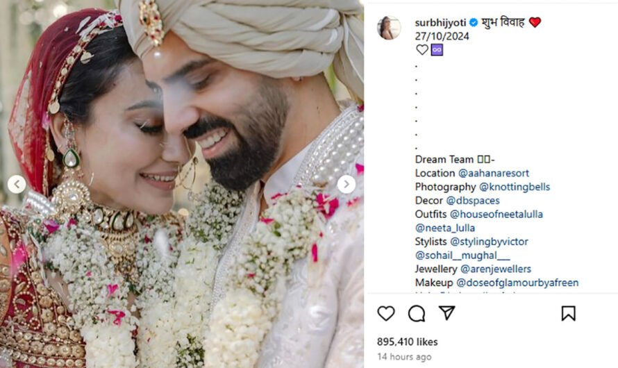 Qubool Hai Actor Surbhi Jyoti Weds