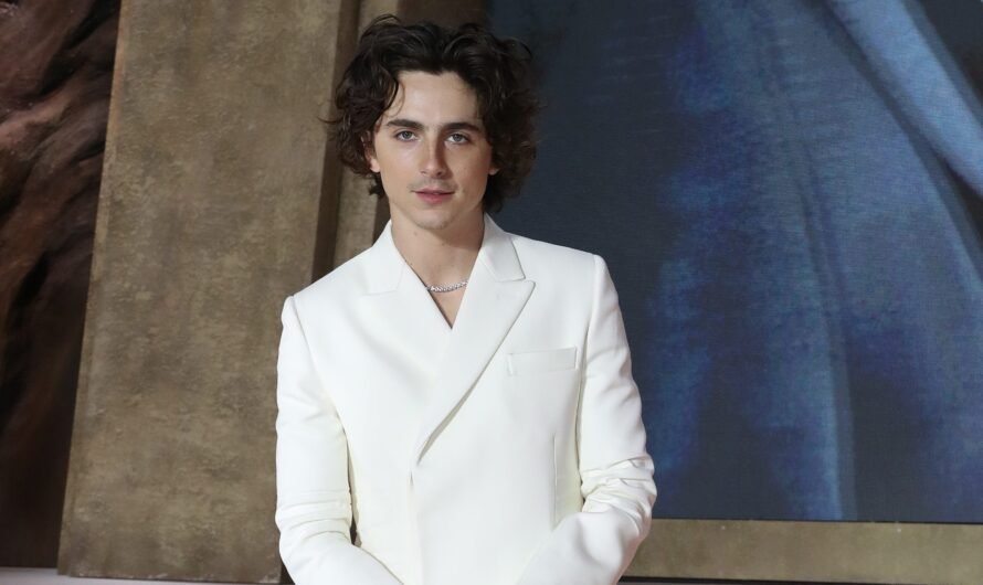 Timothée Chalamet Lookalike Contest: The Winner & Why Cops Got Involved