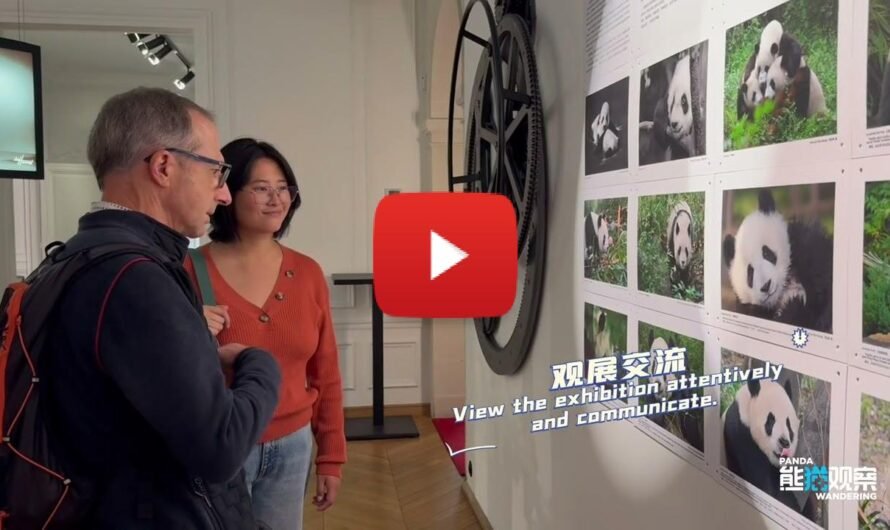 “Panda’s World” Photography Exhibition of Giant Pandas Grandly Opens in Paris, France