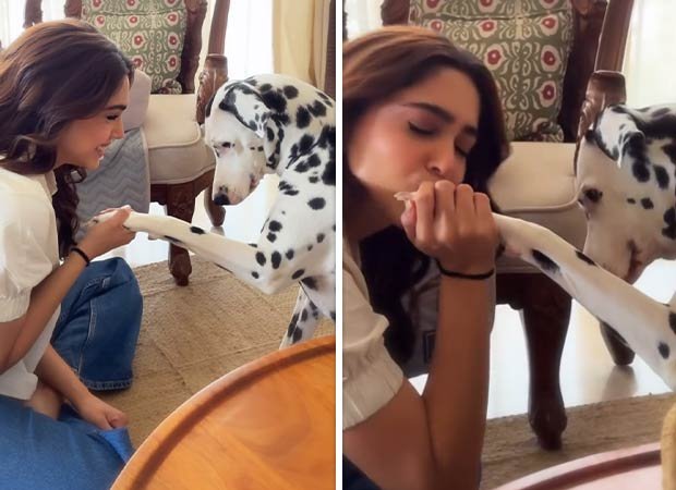 Sharvari supports Alpha co-star Alia Bhatt’s Jigra, grooves with her dog Miso on ‘Tenu Sang Rakhna’ : Bollywood News