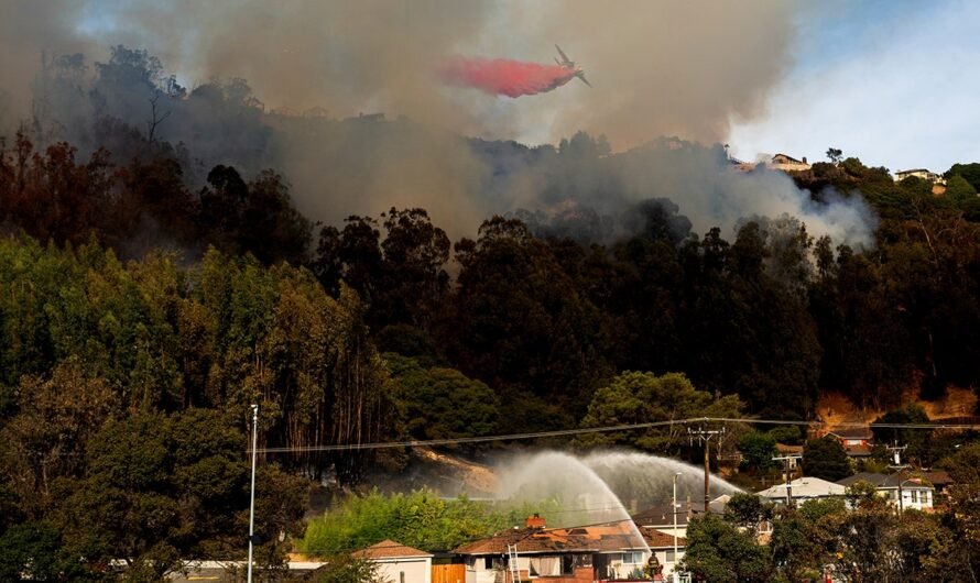 Hundreds ordered to evacuate from fast-moving Northern California fire, official says