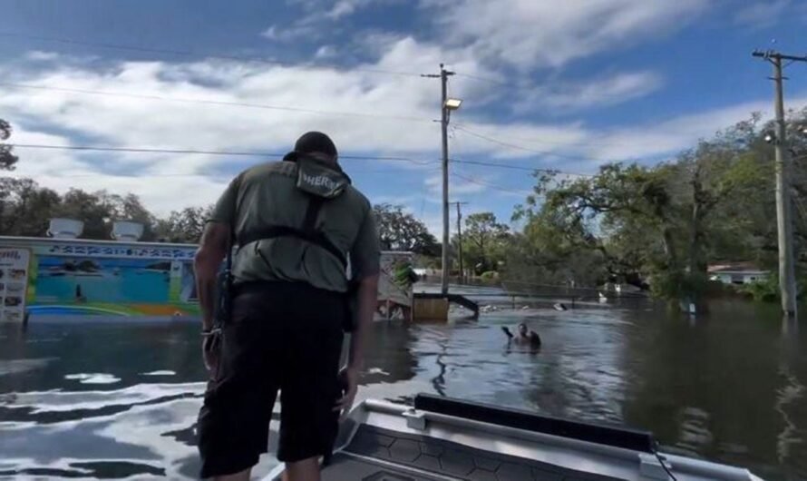 Florida boy rescued after being spotted in water