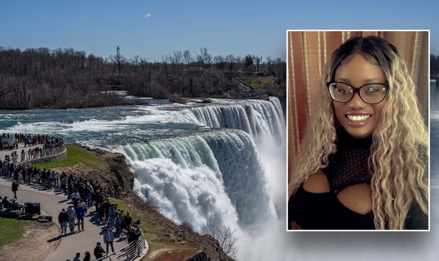 Women jumps into Niagara Falls with 2 young sons in ‘intentional act’: police