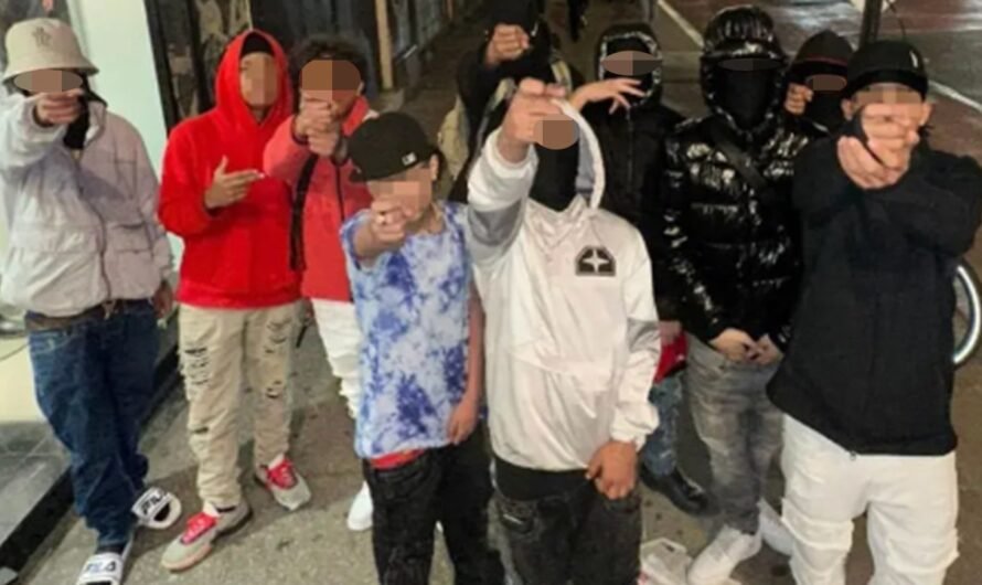 NYC juvenile illegal immigrant gang members stay out of jail due to age