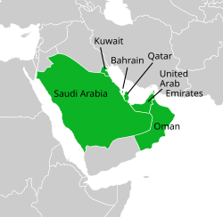 GCC Investments Propel Regional Companies Towards Robust Growth