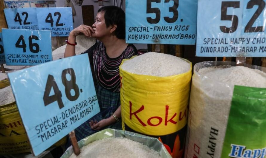 Modern Rice Technology Inventor Philippines Is Now The World’s Top Rice Importer