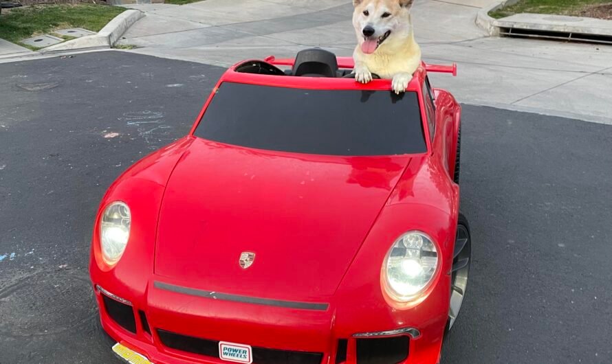 Dogecoin’s Market Cap Climbs Above Porsche Amid Musk’s Support