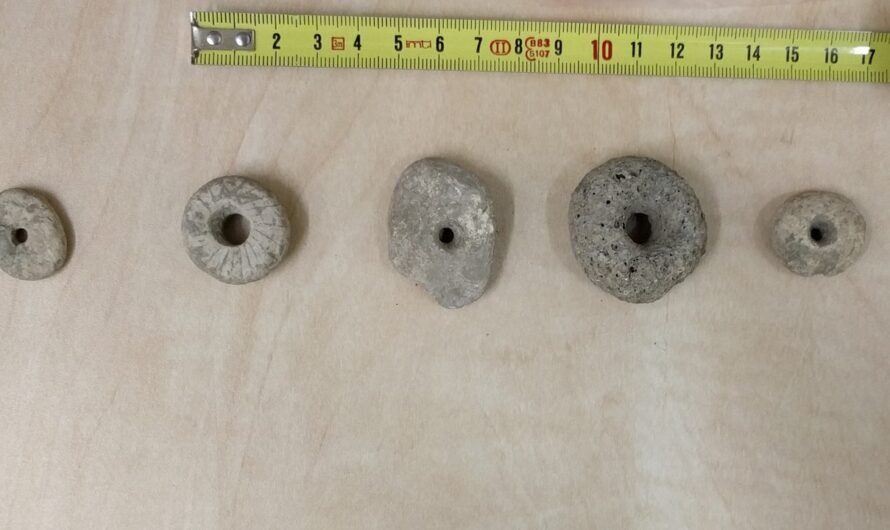 Over 100 perforated stones found in Israel suggested to be ancient spindle whorls in new research