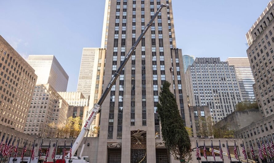 Haul out the holly! Rockefeller Center Christmas tree arrives in New York City