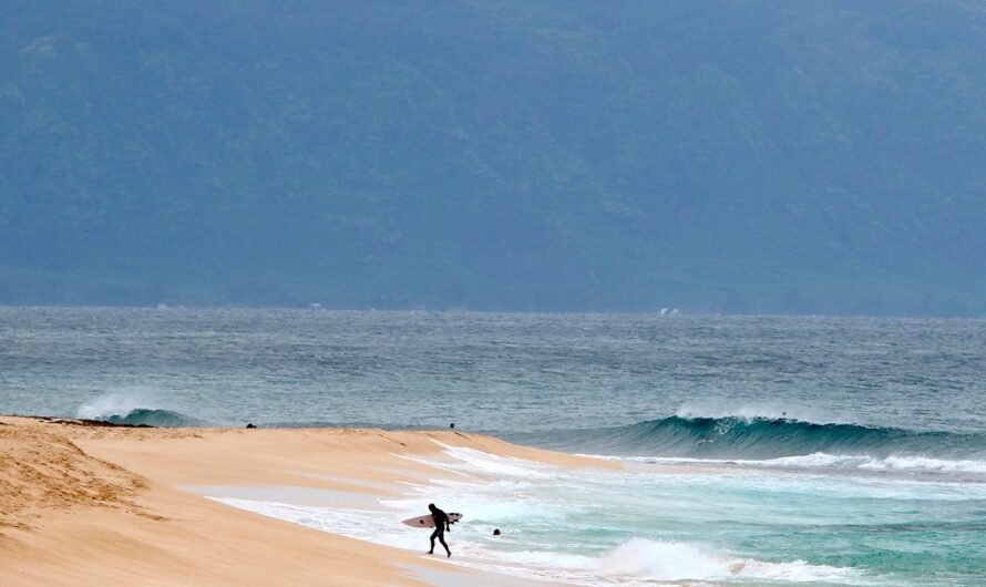 Hawaii surfer’s leg severed in shark attack off Maui, authorities say