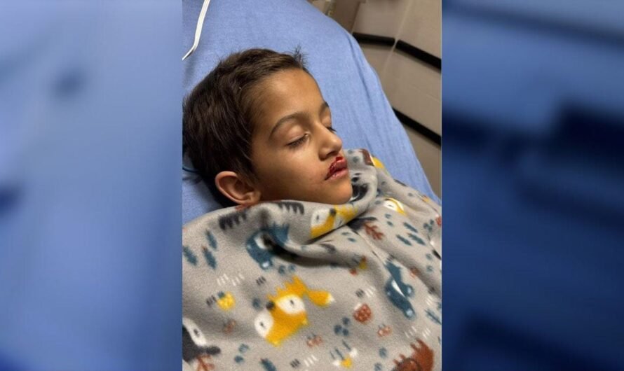 FAA places restrictions on drone company after Florida boy injured at holiday airshow, underwent heart surgery