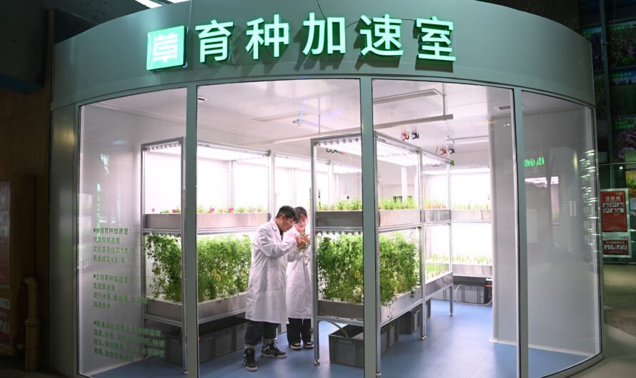 China Focus: Technology sows seeds of hope in combating desertification