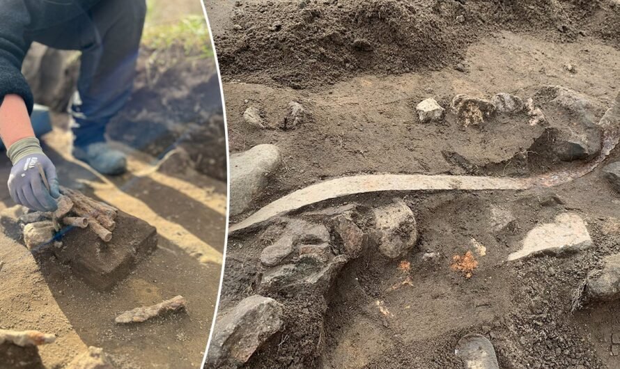 Archaeologists in Denmark uncover what they suggest is a weapons sacrifice during routine excavations