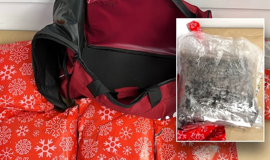 Woman arrested for attempting to smuggle 22 pounds of meth wrapped as Christmas gifts in carry-on bag