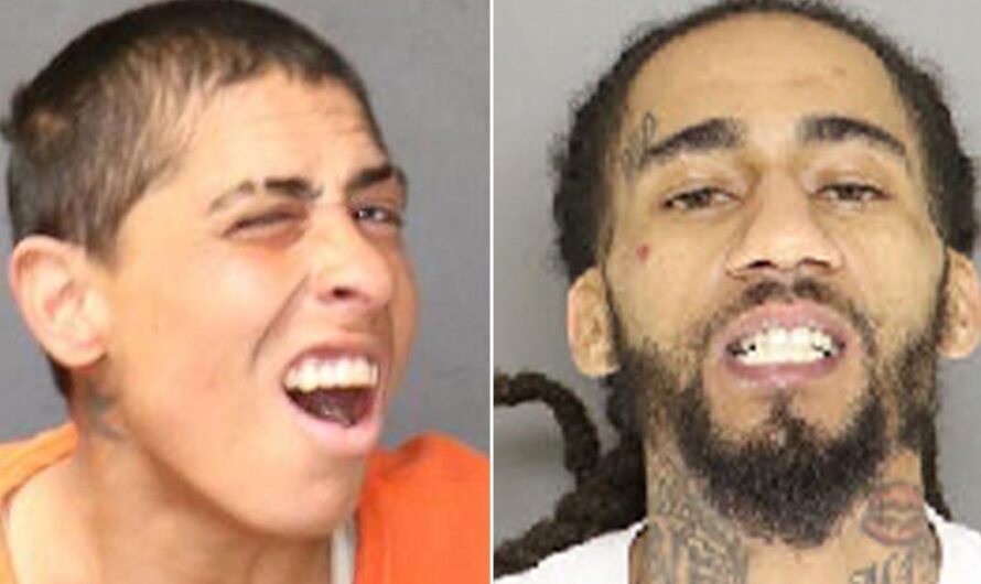 Mugshots of the week: Dec. 8-14, 2024