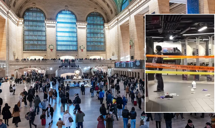 Man slashes innocents at NYC travel hub on Christmas Eve: NYPD