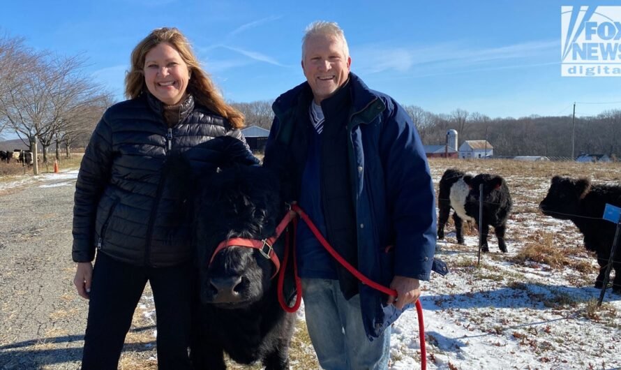 NJ couple describes seeing mysterious aircraft amid bizarre phenomenon: ‘We need to know’